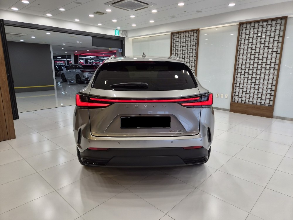 Lexus NX, 2025 — фото 4 из 12