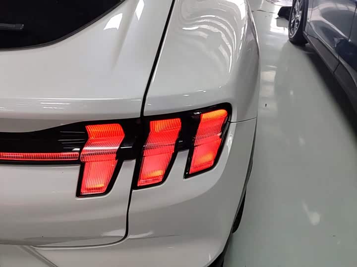 Ford Mustang Mach-E, 2022 — фото 8 из 9