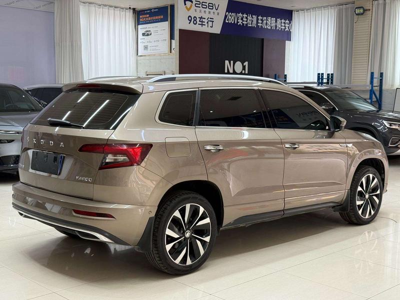 Skoda Karoq, 2023 — фото 6 из 12
