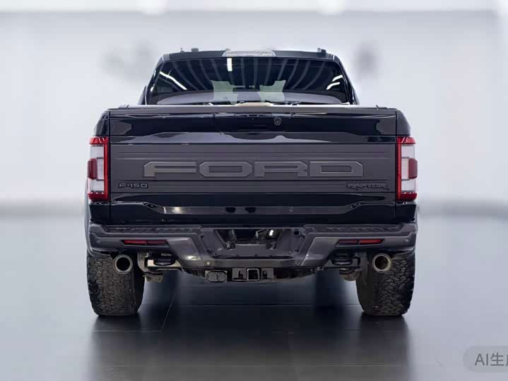 Ford F-150 Raptor, 2024 — фото 5 из 9