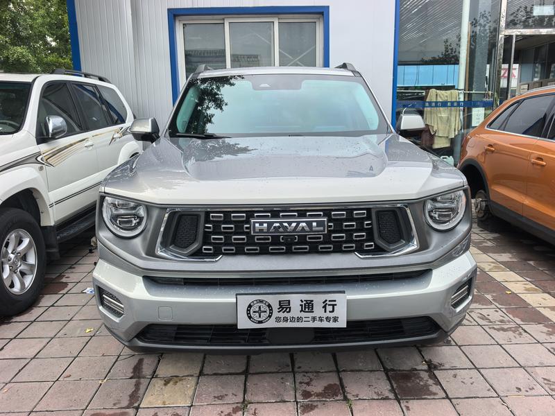 Haval H-Dog, 2023 — фото 2 из 12