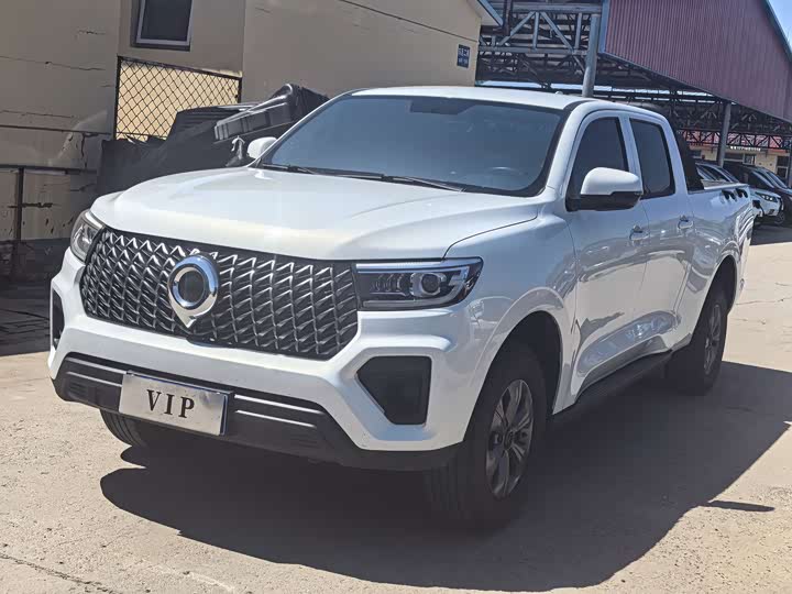 Great Wall Pao, 2024 — купить в Тамбове под ключ