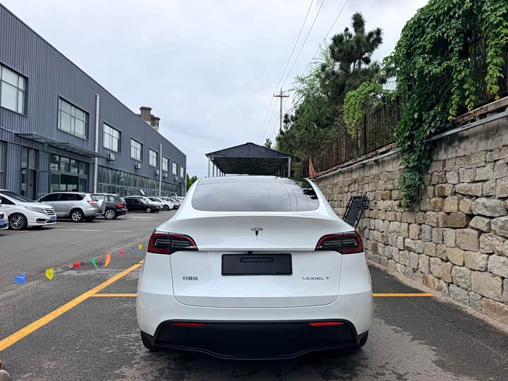 Tesla Model Y, 2024 — фото 8 из 9