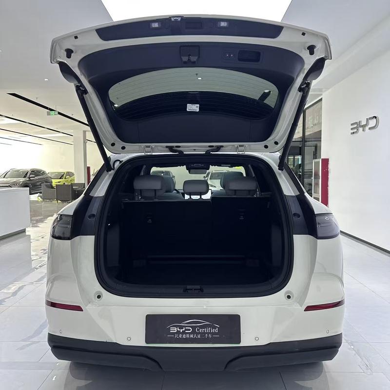 BYD Sea Lion 06 Hybrid/EV, 2025 — фото 10 из 11