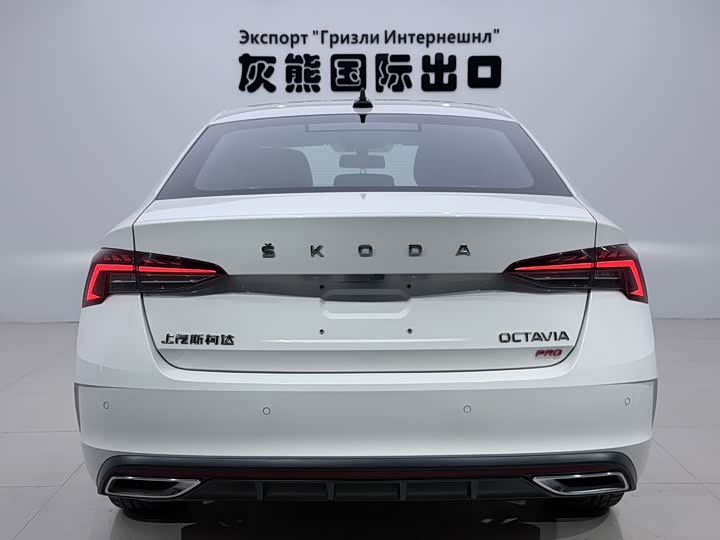 Skoda Octavia Pro, 2022 — фото 5 из 9