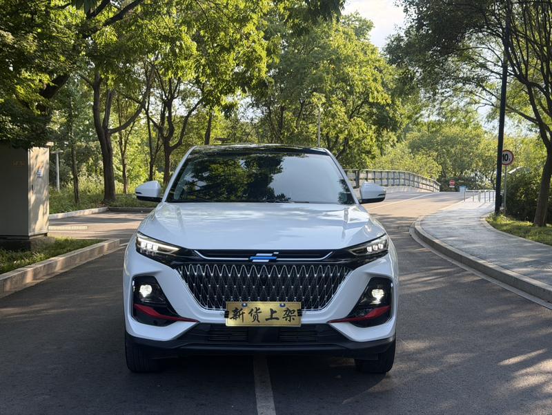 Changan Oshan X7 Plus, 2023 — фото 2 из 12