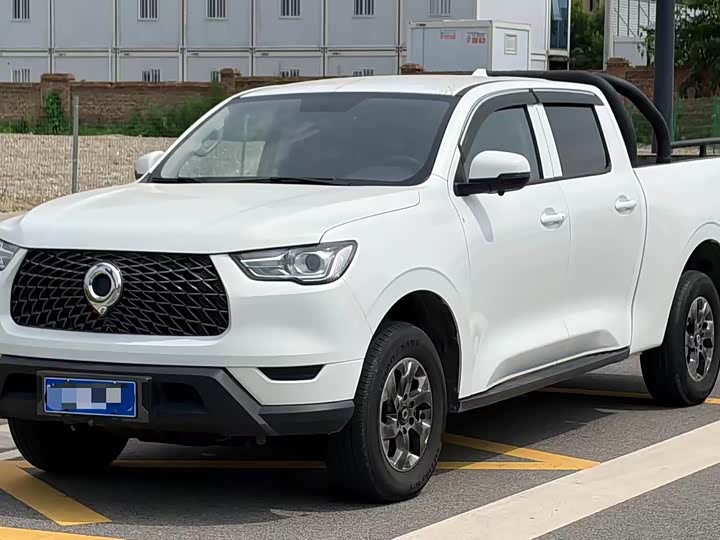 Great Wall Pao, 2022 — купить в Смоленске под ключ