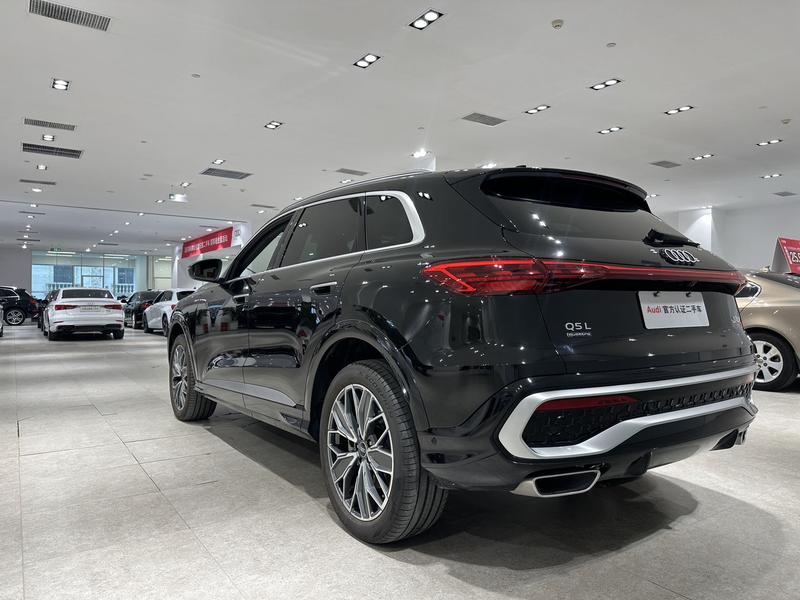 Audi Q5L, 2025 — фото 4 из 9