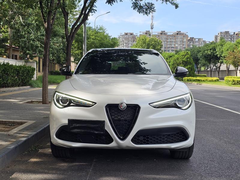 Alfa Romeo Stelvio, 2022 — фото 2 из 12