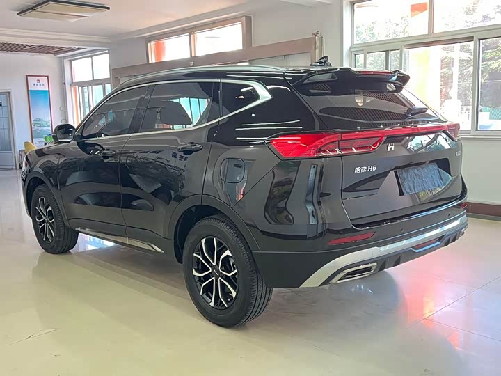 Haval H6, 2023 — фото 8 из 9