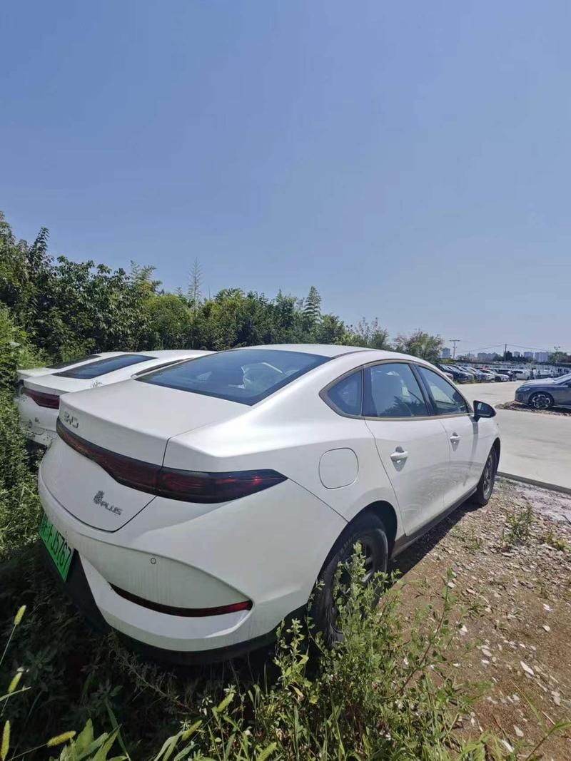 BYD Qin Plus, 2026 — фото 4 из 6