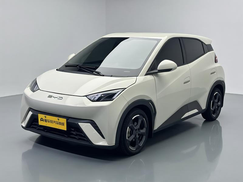 BYD Seagull, 2023 — купить в Белгороде под ключ