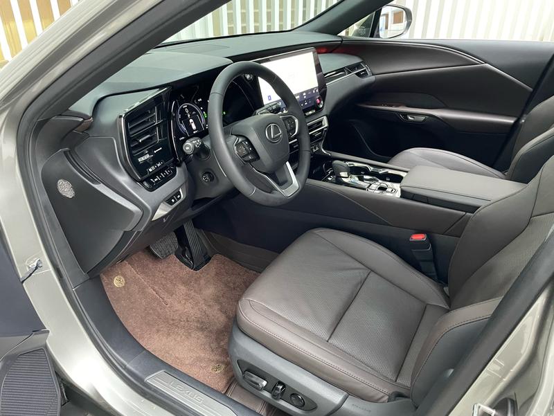 Lexus RX Hybrid, 2023 — фото 7 из 10