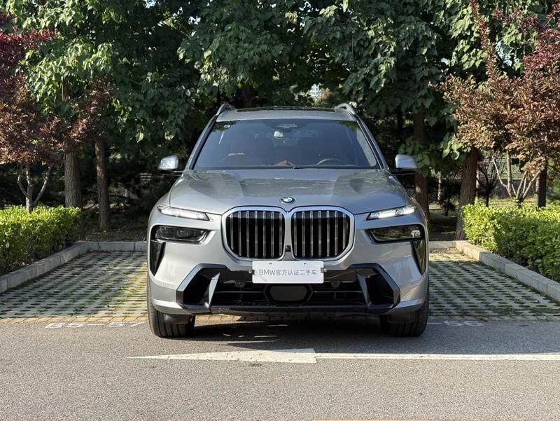 BMW X7, 2025 — фото 2 из 12