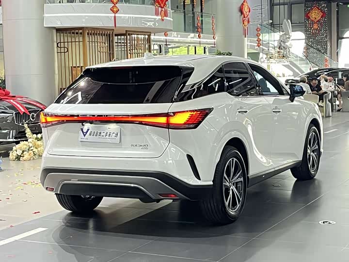Lexus RX, 2024 — фото 7 из 9