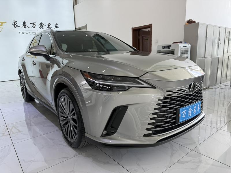 Lexus RX, 2024 — фото 3 из 11