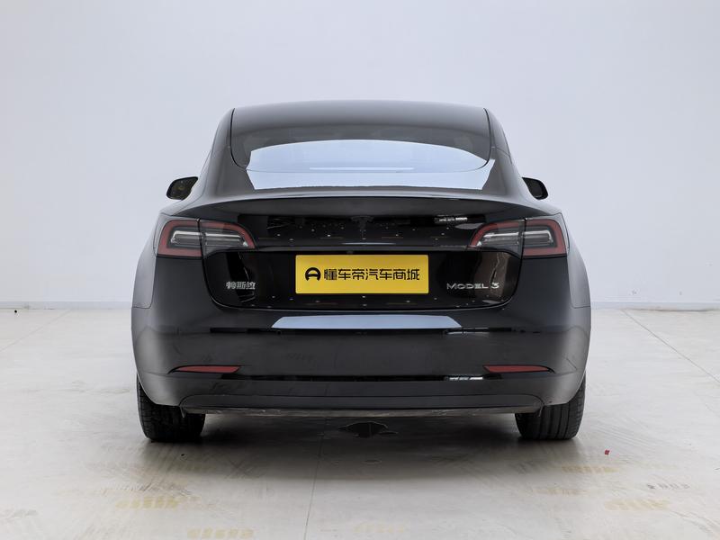 Tesla Model 3, 2021 — фото 6 из 12