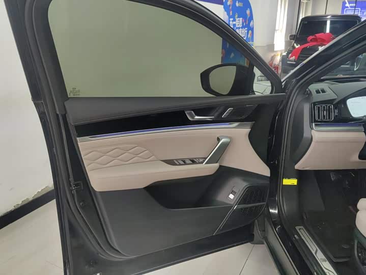 BYD Tang Hybrid/EV, 2024 — фото 7 из 9