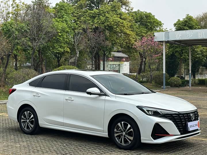 Changan Eado Plus, 2024 — фото 3 из 9