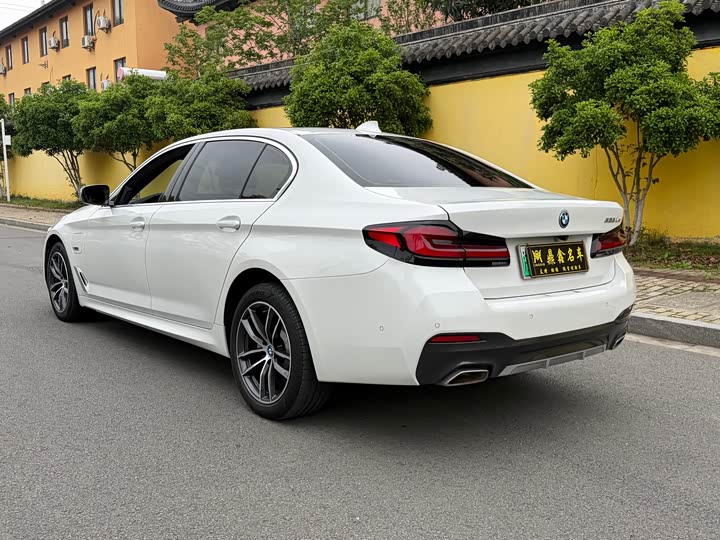 BMW 5 Series Hybrid, 2022 — фото 9 из 9