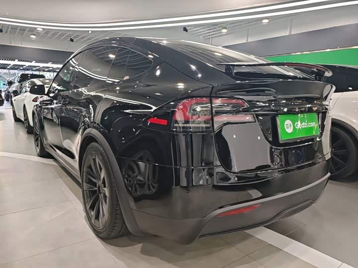 Tesla Model X, 2023 — фото 5 из 9