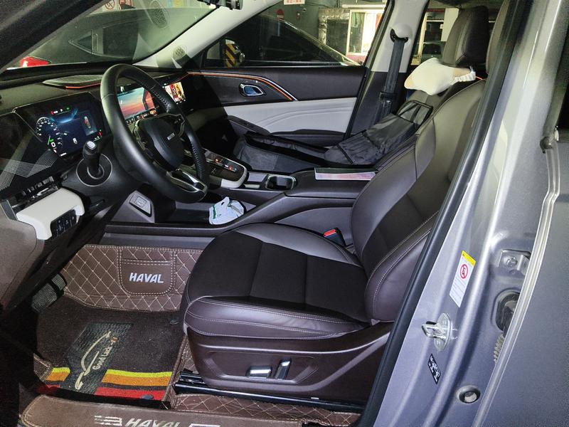Haval Ruge Max, 2023 — фото 7 из 12