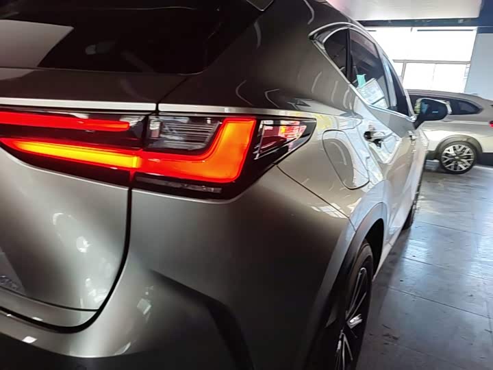 Lexus NX Hybrid, 2024 — фото 8 из 9
