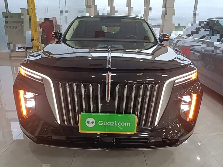 Hongqi E-HS9, 2023 — фото 3 из 9