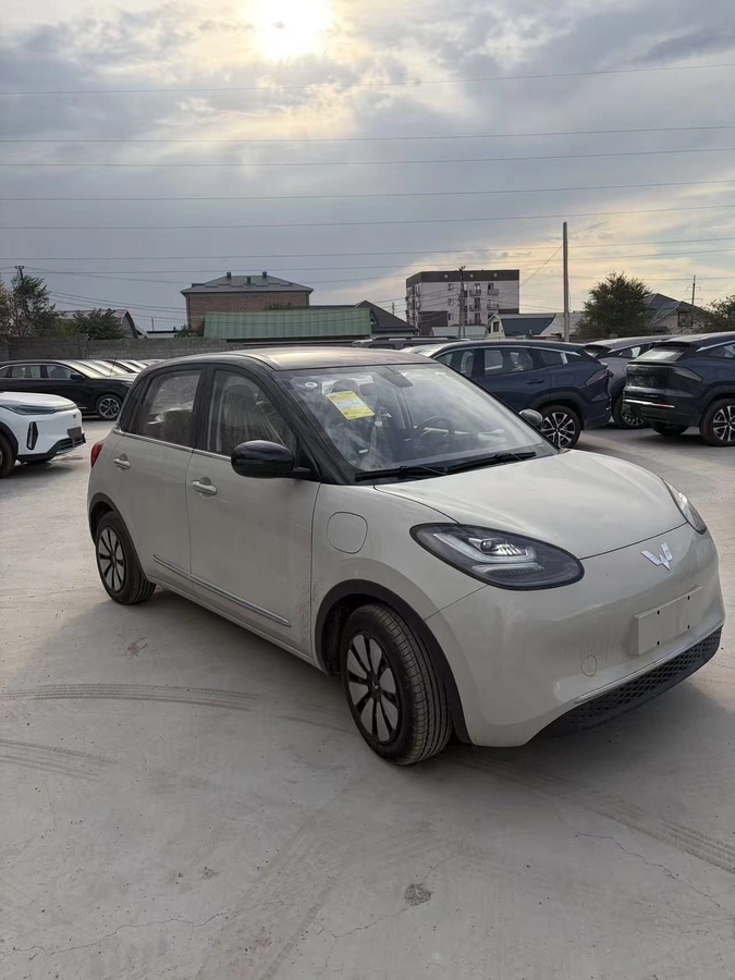 Wuling Binguo, 2026