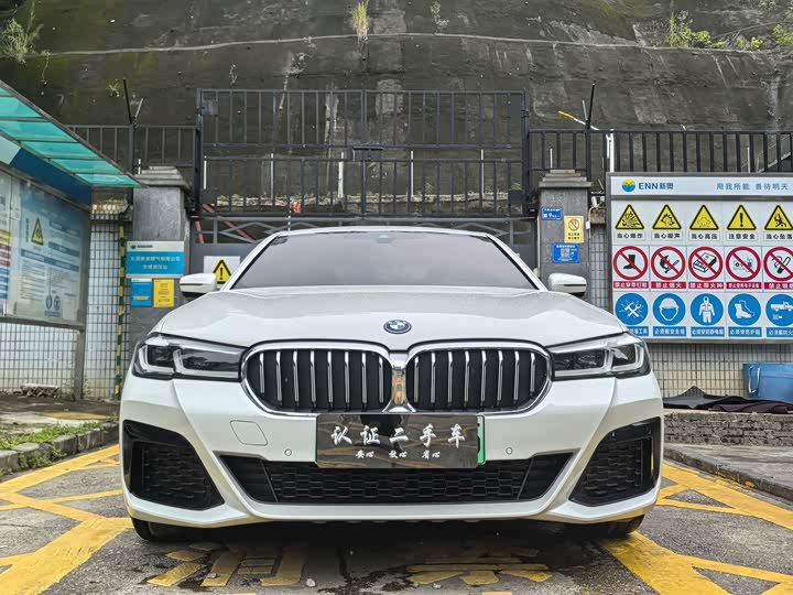 BMW 5 Series Hybrid, 2022 — фото 6 из 9