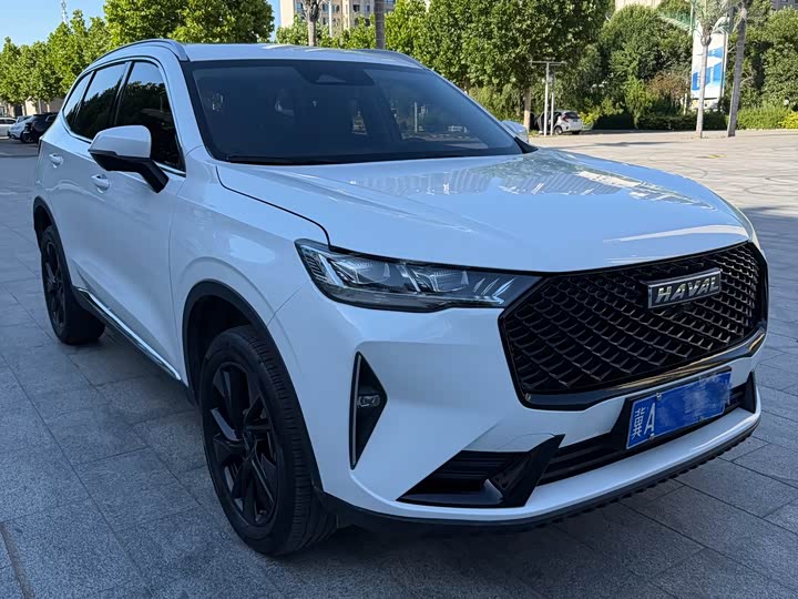 Haval H6, 2022 — фото 7 из 9