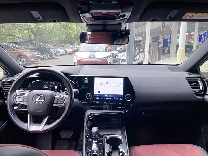 Lexus NX, 2021 — фото 9 из 9