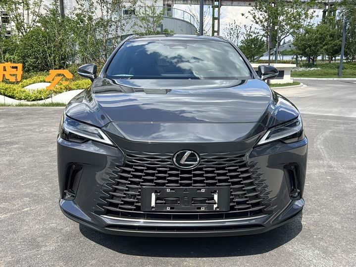 Lexus RX Hybrid, 2023 — фото 2 из 9