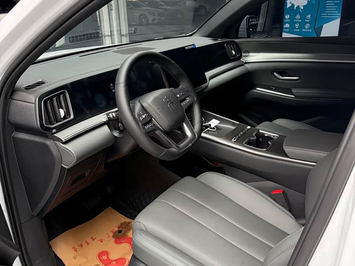 BYD Song Pro Hybrid, 2025 — фото 7 из 9