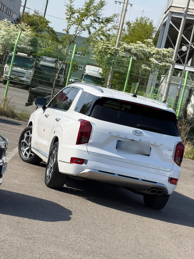 Hyundai Palisade, 2021 — фото 3 из 12