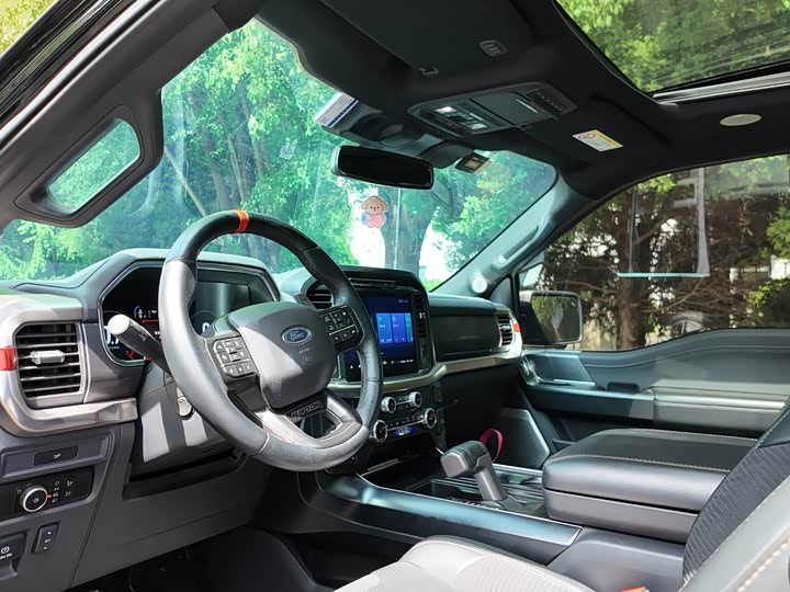 Ford F-150 Raptor, 2024 — фото 3 из 5