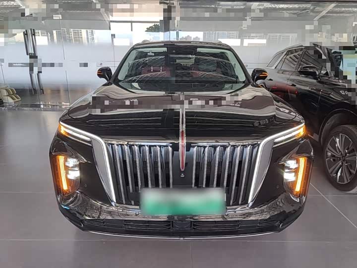 Hongqi E-HS9, 2023 — фото 3 из 9