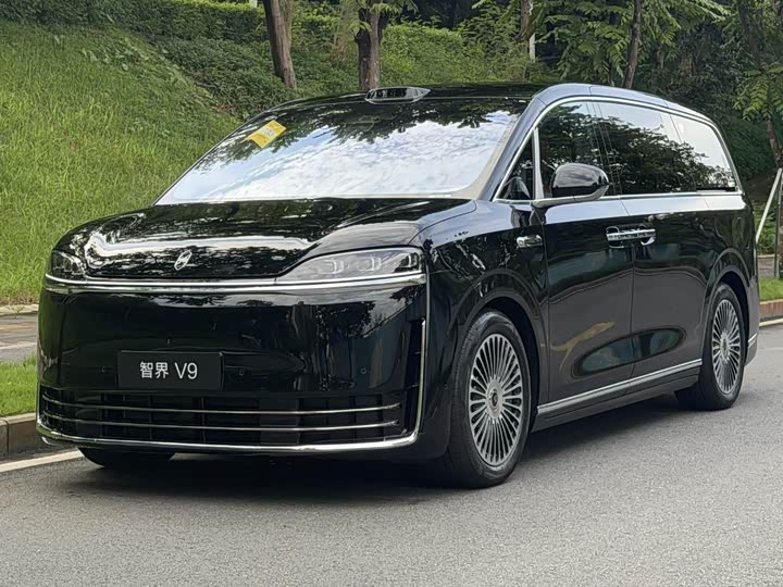 Luxeed V9, 2026 — купить в Тамбове под ключ