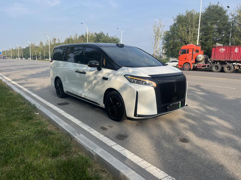Wey 80 Hybrid, 2025 — фото 3 из 12