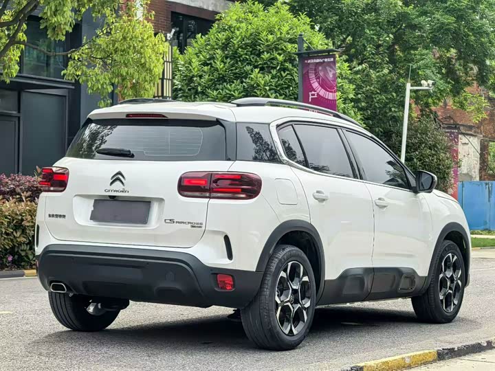 Citroen C5 Aircross 2023, 2024 — фото 7 из 9