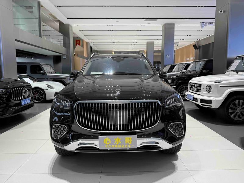 Mercedes-Benz Maybach GLS, 2024 — фото 2 из 11