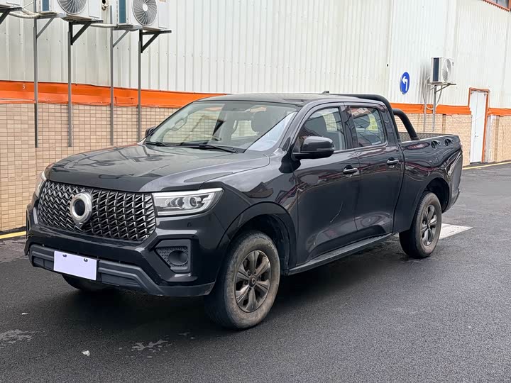 Great Wall Pao, 2023 — купить в Смоленске под ключ