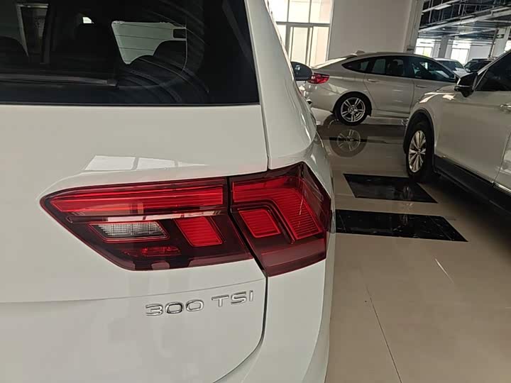 Volkswagen Tiguan L Pro, 2024 — фото 8 из 9