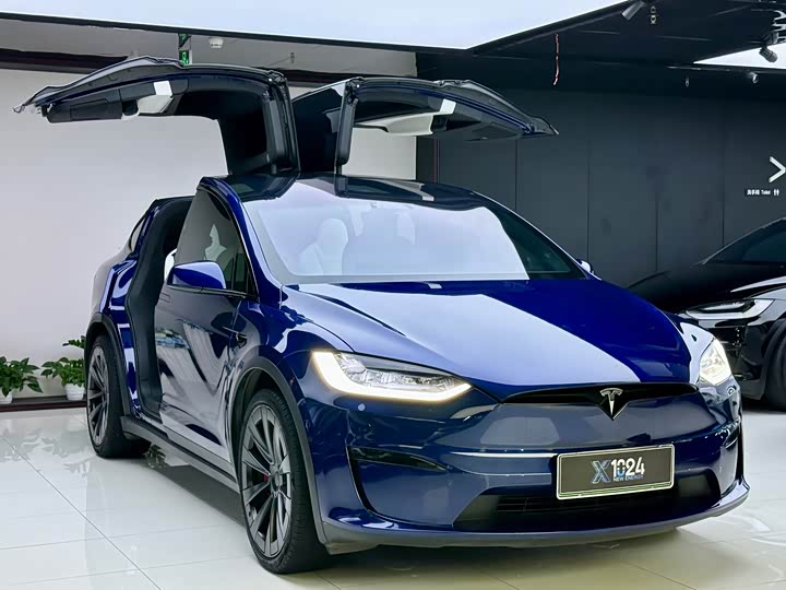 Tesla Model X, 2023 — фото 3 из 9