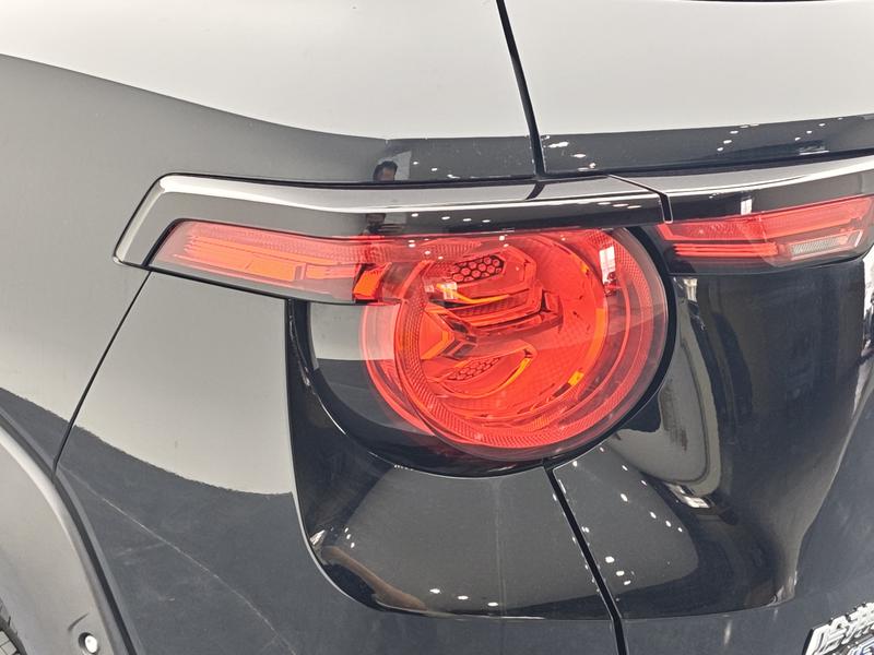 Haval H-Dog Hybrid, 2023 — фото 10 из 12
