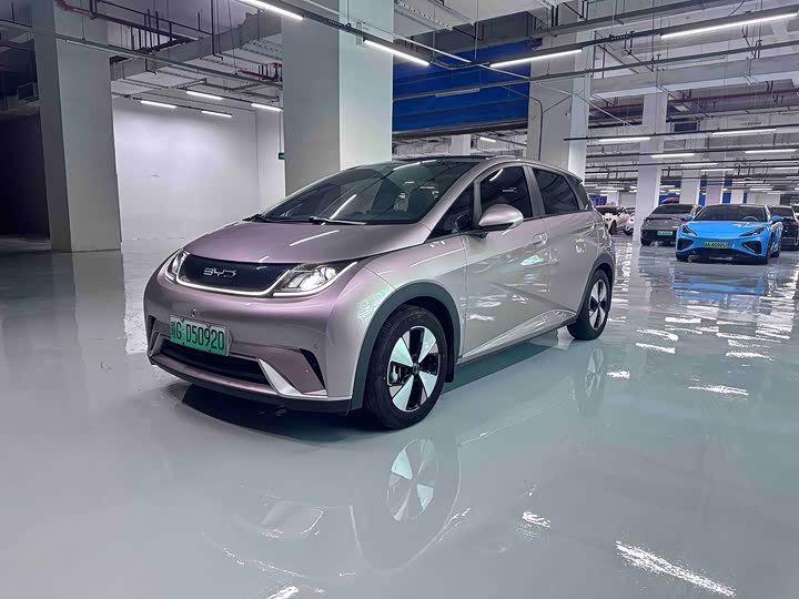 BYD Dolphin, 2023 — купить в Иванове под ключ