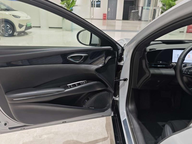 BYD Seal, 2025 — фото 11 из 12