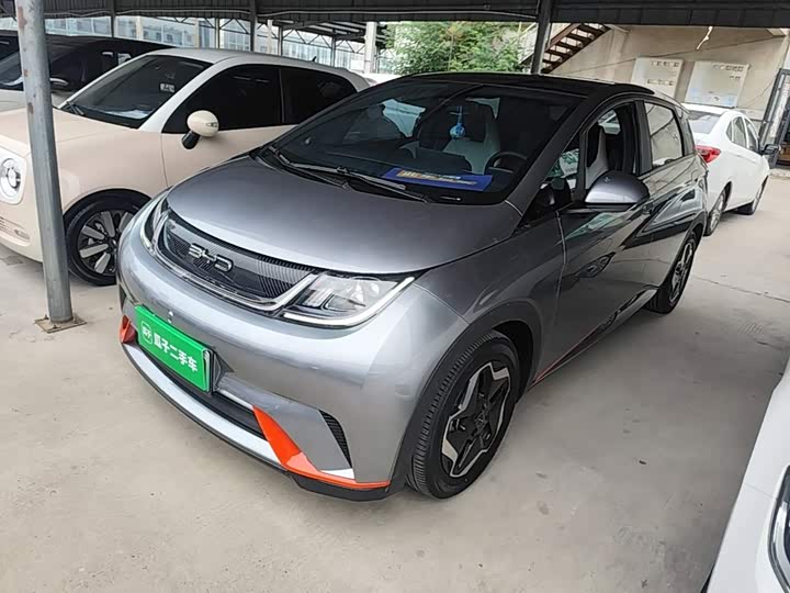 BYD Dolphin, 2022 — купить в Владимире под ключ