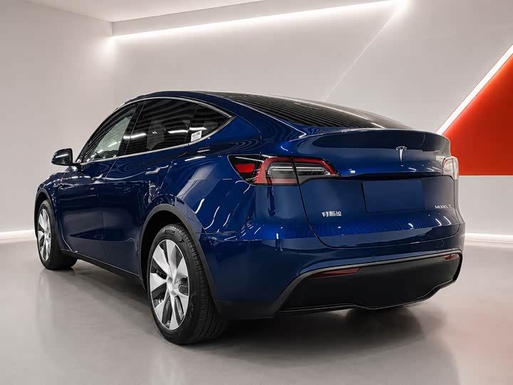 Tesla Model Y, 2023 — фото 6 из 9