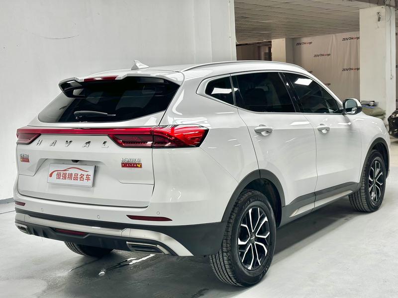 Haval H6, 2021 — фото 6 из 12